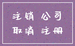 公司简易注销流程和费用
