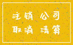 北京市公司注销股东会