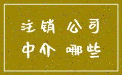 韶关公司注销中介