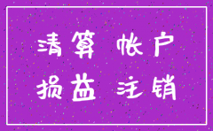 注销公司报表封皮