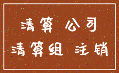 注销公司清算方案范文