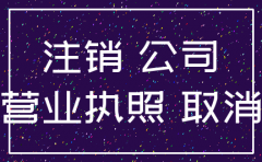 大连公司税务注销查询网