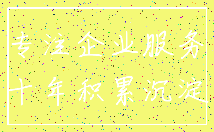 专注企业服务_十年积累沉淀