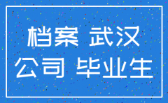 武汉 公司 注销 记录