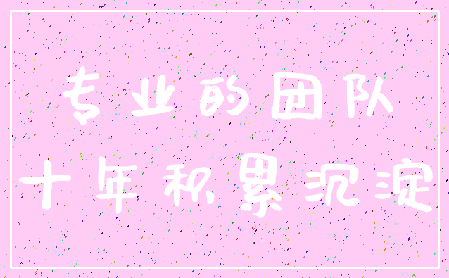 专业的团队_十年积累沉淀