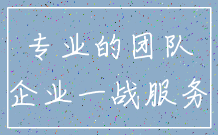 专业的团队_企业一战服务