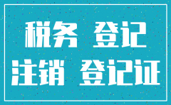 分公司税务登记证注销所需资料