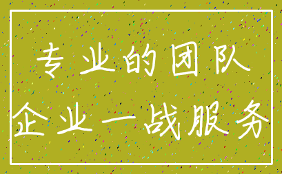 专业的团队_企业一战服务