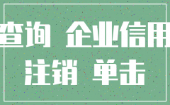 非洲合资公司注销查询