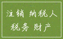 注销公司的税务表格如何填写
