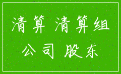 邢台公司注销清算报告样本