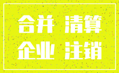 全资子公司如何注销