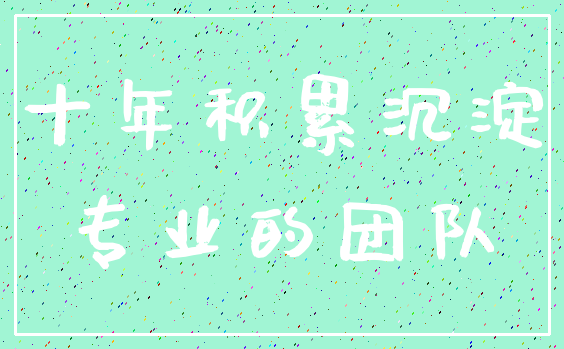 十年积累沉淀_专业的团队