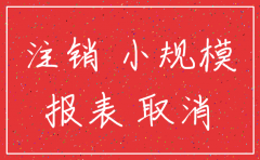 小规模公司注销报表