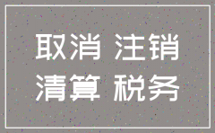 公司注销公告登报手续