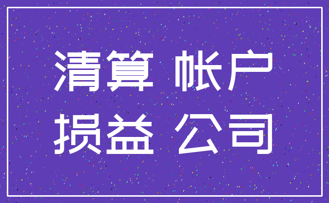 清算 帐户_损益 公司