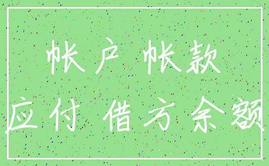 帐户 帐款_应付 借方余额