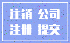 分公司允许注销证明书