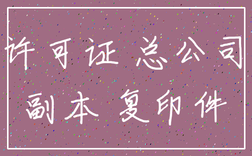 许可证 总公司_副本 复印件