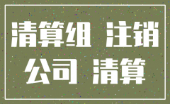 股东制公司注销需要什么材料