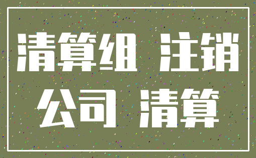 清算组 注销_公司 清算