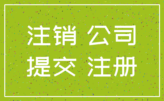 注销 公司_提交 注册