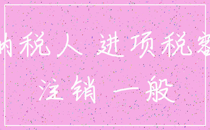 纳税人 进项税额_注销 一般