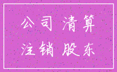 注销公司清算组负什么责任
