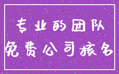 专业的团队_免费公司核名