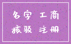 公司核名后注销在重新申请表