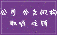 注销分公司相关法条