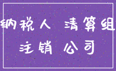 如何办理一般纳税人的公司注销流程