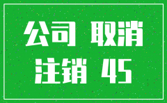 上海这边公司注销流程