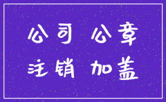 海南省公司注销需要什么材料