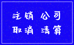 上海最新注销公司流程图
