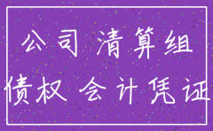 注销公司说明书模板