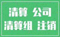 一个公司注销需要做什么