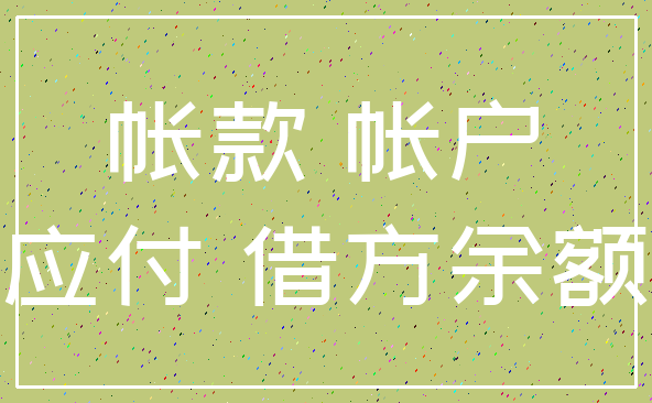 帐款 帐户_应付 借方余额