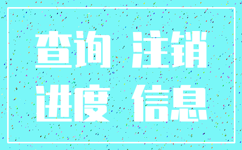 查询 注销_进度 信息