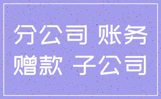 分公司 账务_赠款 子公司