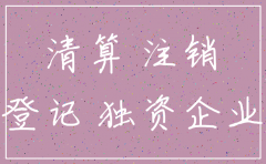 个人法人独资公司注销