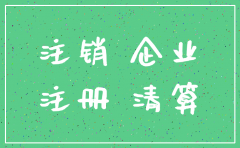 股权决议书 公司注销
