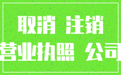 深圳外地企业分公司注销吗