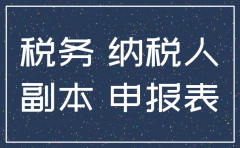 注销公司税务清算表下载