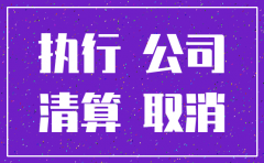公司注销申请执行