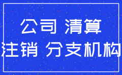 办理分公司注销需要材料