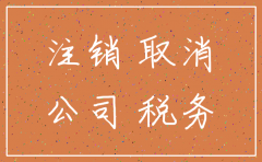 深圳网上申报公司注销