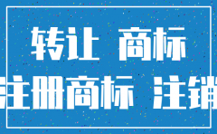 商标在转让中公司可以注销吗
