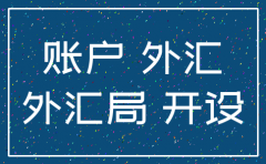 公司注销外汇管理局如何办理