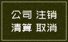 个人公司未营业不注销
